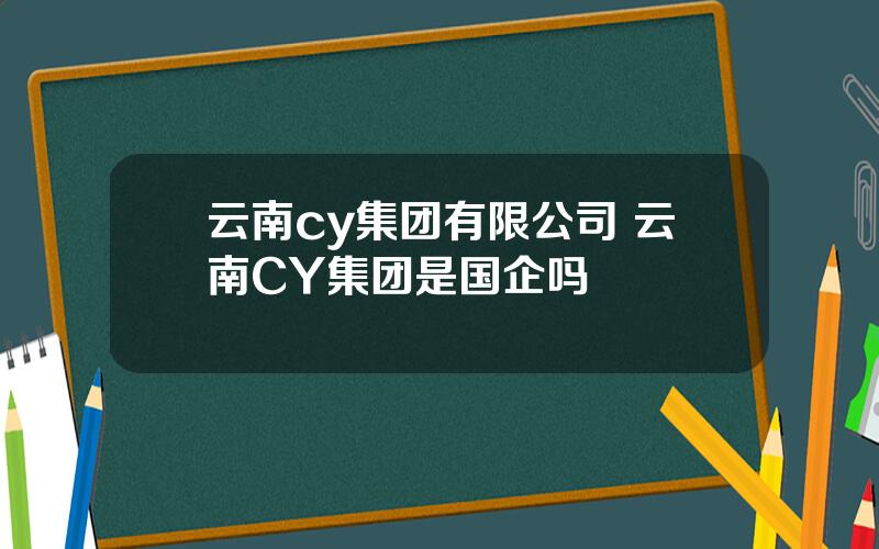 云南cy集团有限公司 云南CY集团是国企吗